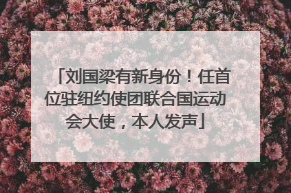 刘国梁有新身份！任首位驻纽约使团联合国运动会大使，本人发声