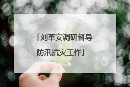 刘革安调研督导防汛抗灾工作