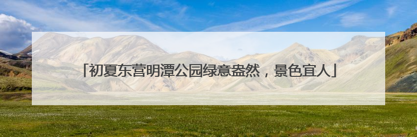 初夏东营明潭公园绿意盎然，景色宜人