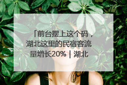 前台摆上这个码，湖北这里的民宿客流量增长20%｜湖北市场监管所的故事