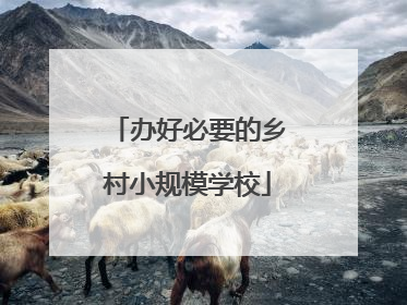 办好必要的乡村小规模学校