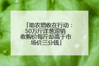 助农增收在行动：50万斤洋葱滞销 收购价每斤却高于市场价三分钱