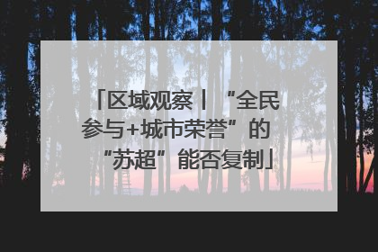 区域观察丨“全民参与+城市荣誉”的“苏超”能否复制