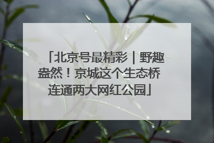 北京号最精彩｜野趣盎然！京城这个生态桥连通两大网红公园