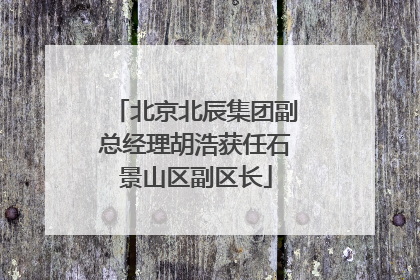 北京北辰集团副总经理胡浩获任石景山区副区长