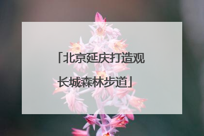 北京延庆打造观长城森林步道