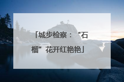 城步检察：“石榴”花开红艳艳