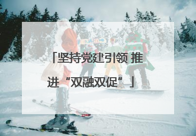坚持党建引领 推进“双融双促”
