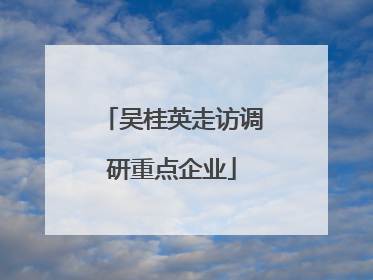 吴桂英走访调研重点企业