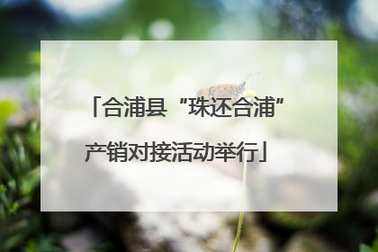 合浦县“珠还合浦”产销对接活动举行