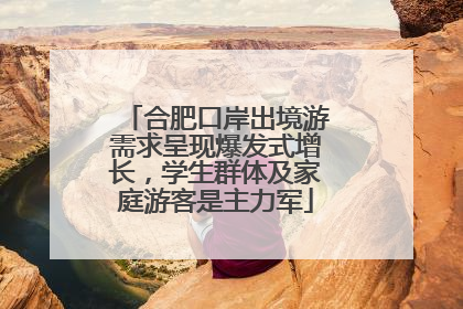 合肥口岸出境游需求呈现爆发式增长，学生群体及家庭游客是主力军