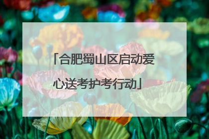 合肥蜀山区启动爱心送考护考行动