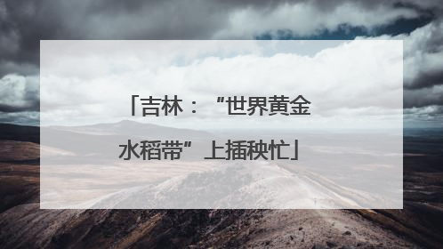 吉林：“世界黄金水稻带”上插秧忙