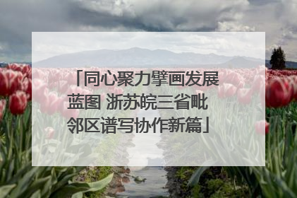 同心聚力擘画发展蓝图 浙苏皖三省毗邻区谱写协作新篇