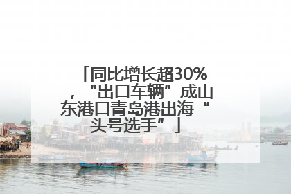 同比增长超30%，“出口车辆”成山东港口青岛港出海“头号选手”