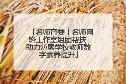 名师育娄丨名师网络工作室组团帮扶 助力薄弱学校教师数字素养提升
