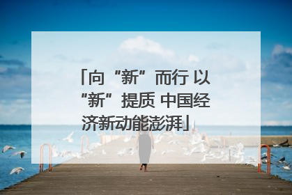 向“新”而行 以“新”提质 中国经济新动能澎湃