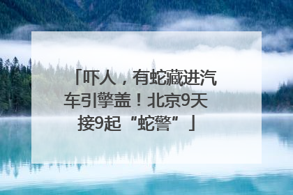 吓人，有蛇藏进汽车引擎盖！北京9天接9起“蛇警”