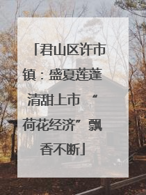 君山区许市镇：盛夏莲蓬清甜上市 “荷花经济”飘香不断