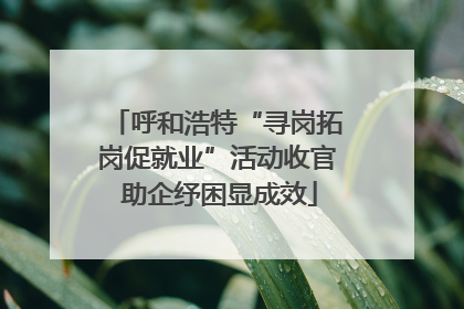呼和浩特“寻岗拓岗促就业”活动收官 助企纾困显成效