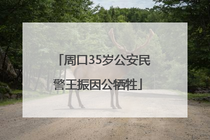 周口35岁公安民警王振因公牺牲