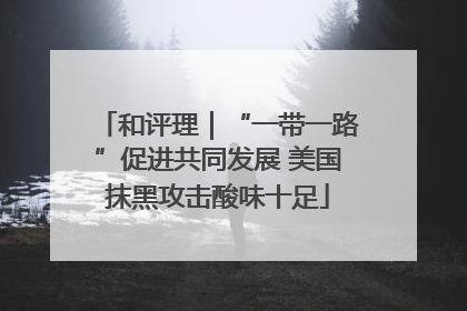 和评理｜“一带一路”促进共同发展 美国抹黑攻击酸味十足