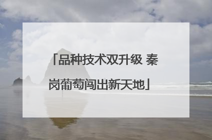品种技术双升级 秦岗葡萄闯出新天地