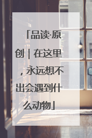 品读·原创｜在这里，永远想不出会遇到什么动物