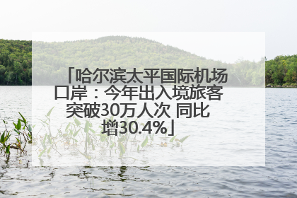 哈尔滨太平国际机场口岸：今年出入境旅客突破30万人次 同比增30.4%
