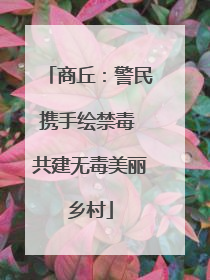 商丘：警民携手绘禁毒 共建无毒美丽乡村