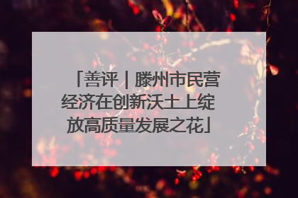 善评｜滕州市民营经济在创新沃土上绽放高质量发展之花