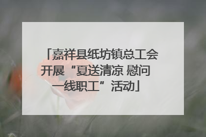 嘉祥县纸坊镇总工会开展“夏送清凉 慰问一线职工”活动