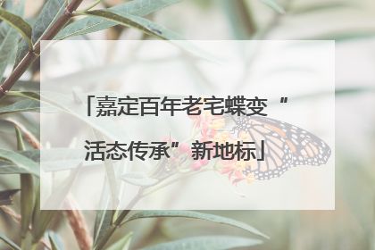 嘉定百年老宅蝶变“活态传承”新地标