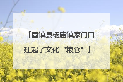 固镇县杨庙镇家门口建起了文化“粮仓”