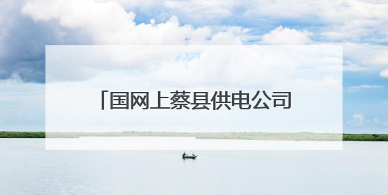 国网上蔡县供电公司：供电服务在身边 安全咨询“零距离”