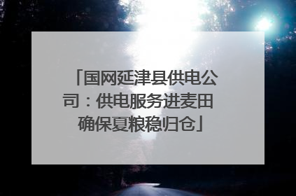 国网延津县供电公司：供电服务进麦田 确保夏粮稳归仓