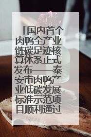 国内首个肉鸭全产业链碳足迹核算体系正式发布——泰安市肉鸭产业低碳发展标准示范项目顺利通过验收
