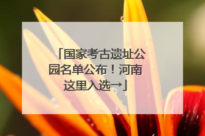 国家考古遗址公园名单公布！河南这里入选→