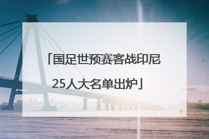 国足世预赛客战印尼25人大名单出炉