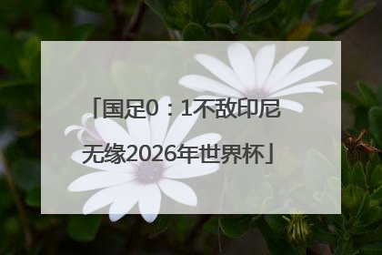 国足0：1不敌印尼 无缘2026年世界杯