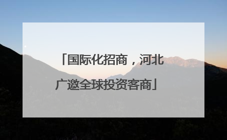 国际化招商，河北广邀全球投资客商