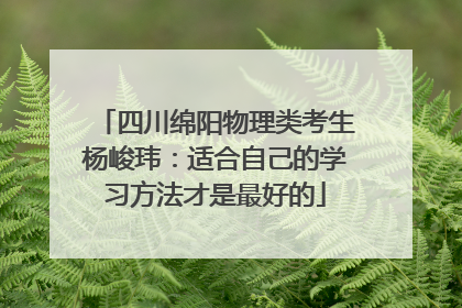 四川绵阳物理类考生杨峻玮：适合自己的学习方法才是最好的