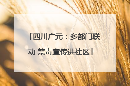 四川广元：多部门联动 禁毒宣传进社区