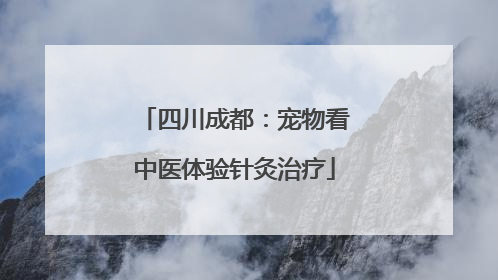 四川成都：宠物看中医体验针灸治疗