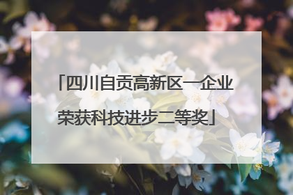 四川自贡高新区一企业荣获科技进步二等奖