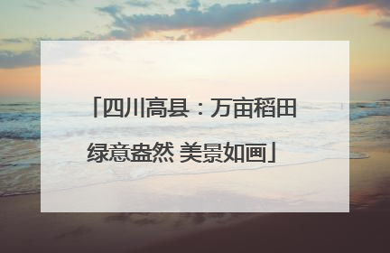 四川高县：万亩稻田绿意盎然 美景如画