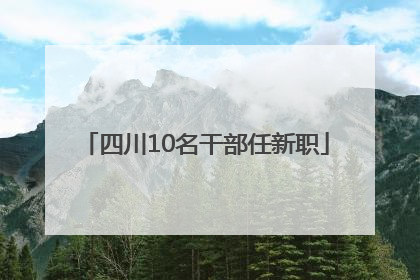 四川10名干部任新职