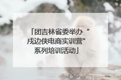 团吉林省委举办“戍边侠电商实训营”系列培训活动
