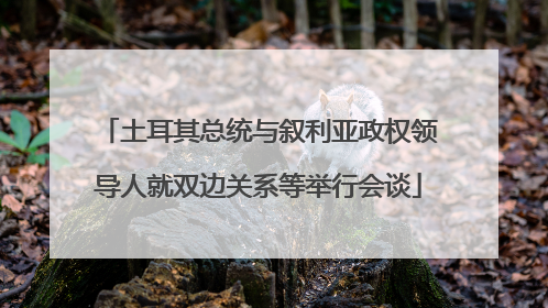 土耳其总统与叙利亚政权领导人就双边关系等举行会谈