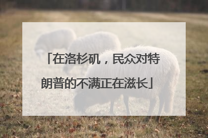 在洛杉矶，民众对特朗普的不满正在滋长